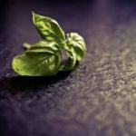 Why You Must Understand GMO’s to Protect Your Health
