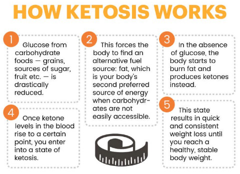 does quick shred keto work