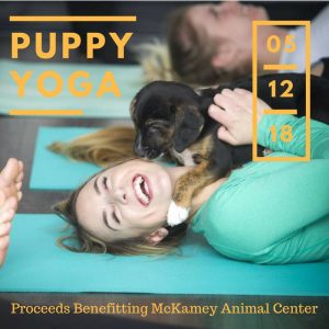 Puppy Yoga