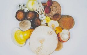 Mushrooms for Mind, Body & Heart