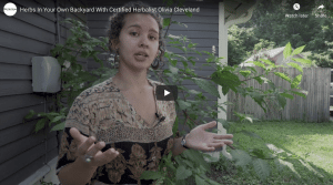 Olivia Cleveland, certified herbalist, herbs in backyard thumbnail