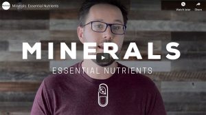 Essential Nutrition Supplements: Minerals Thumbnail