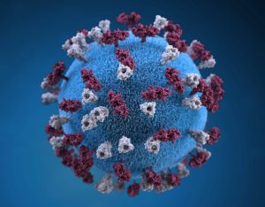 viral infection attached to cell corona virus