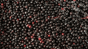 elderberries