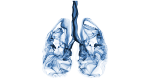 image of lungs, respiratory system