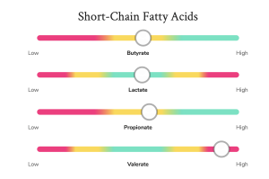 gut health test results