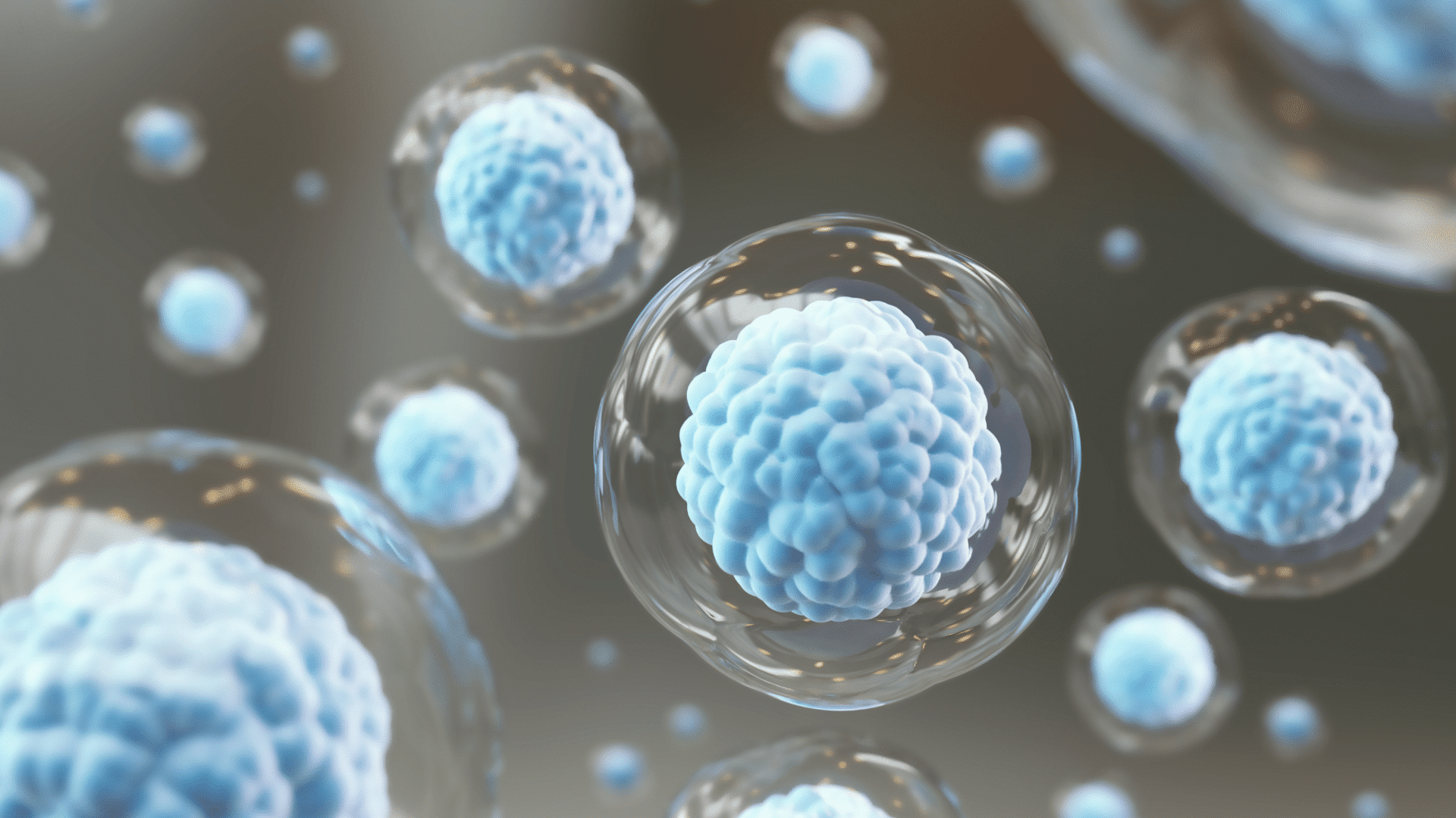 What Is The Meaning Of Stem Cell