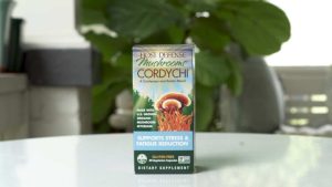 box of host defense cordychi organic mushroom supplement blend