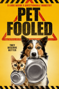 dog and cat with plates in their mouths