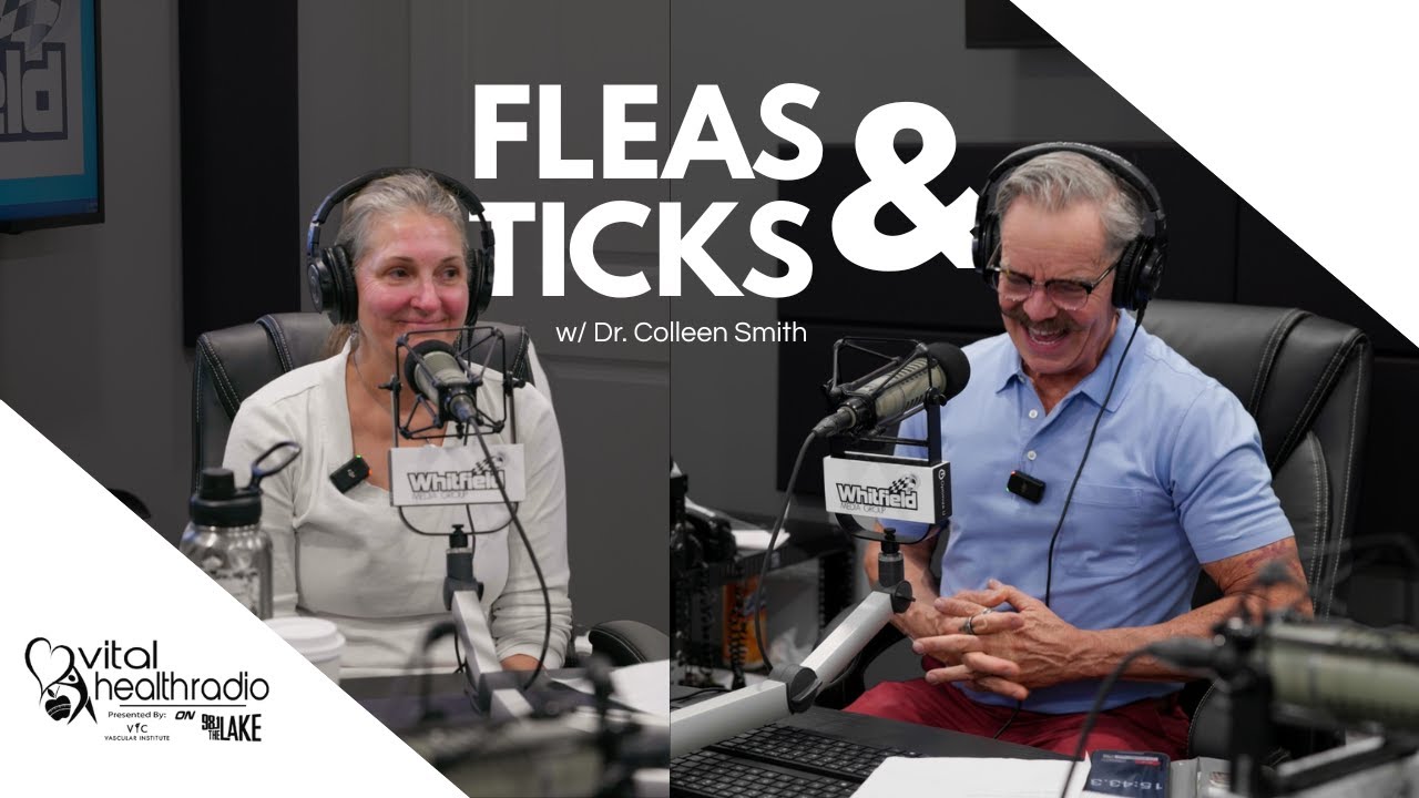 Health coach and vet discuss flea and tick care on radio show
