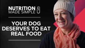 health coach sits down to discuss healthy dog diet